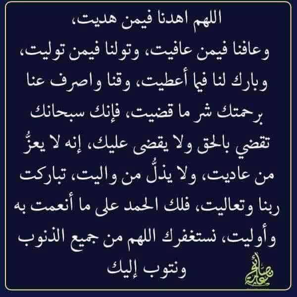 أ/ عادل مصطفي